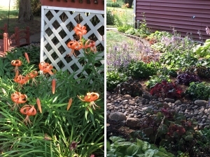 Two views of floral gardens including orange lilies and a shady rock pathway